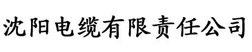 亚洲欧洲日产国产av无码电缆厂logo